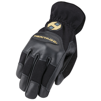 Groundwork & Trainer Glove